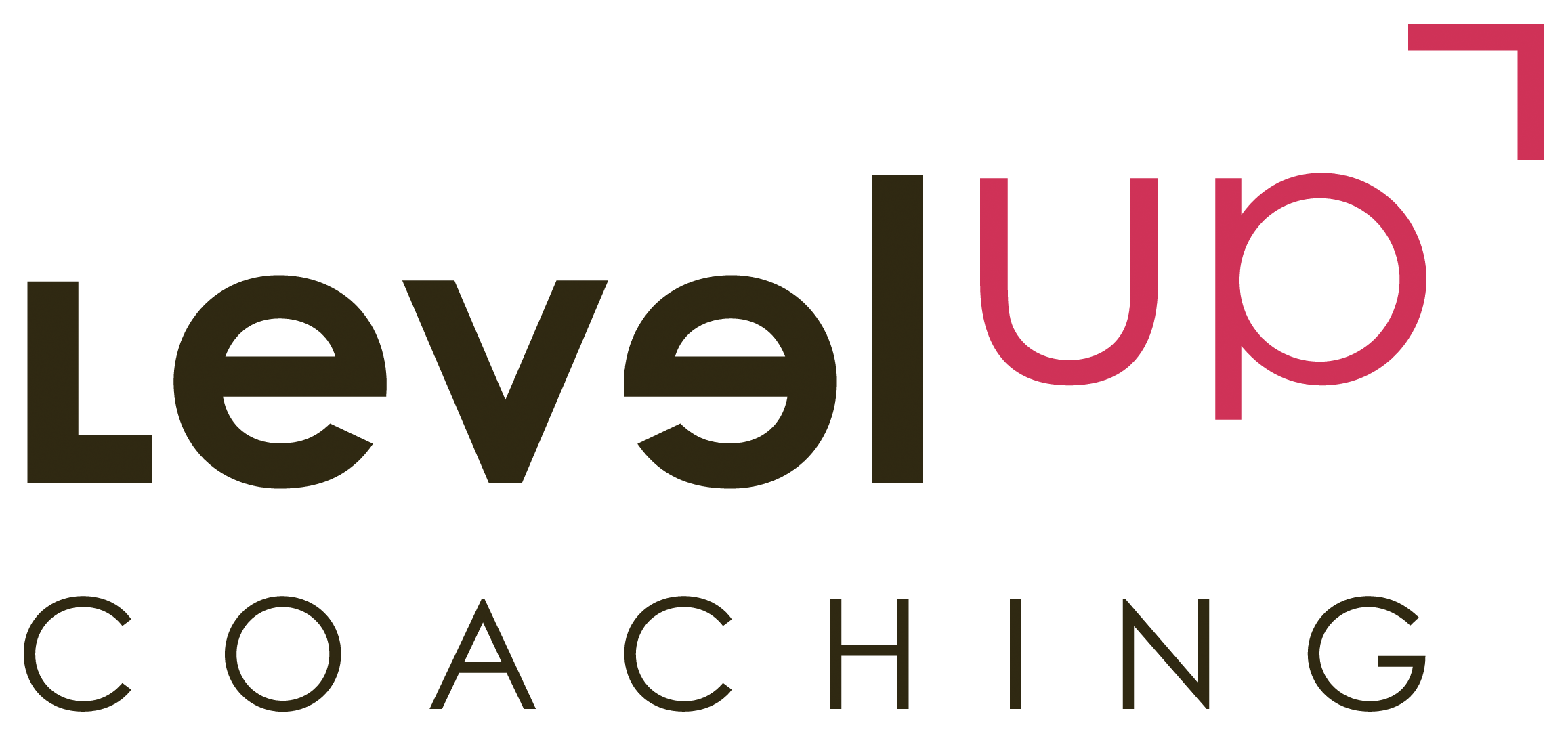 LevelUp-Coaching
