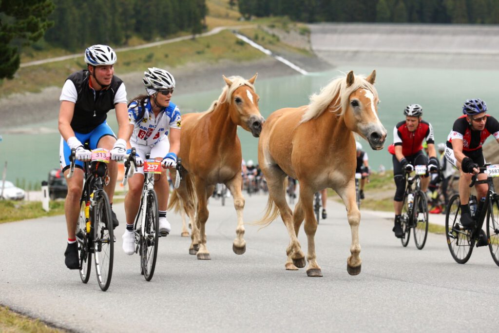 Ötztaler Radmarathon, Ihc haben einen Traum, Rennrad